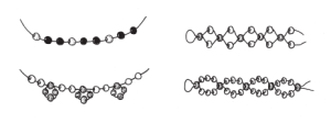 gyongyfuzes