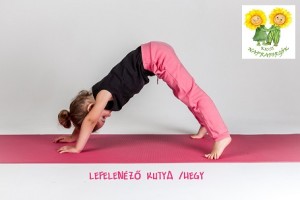 lefelenezo_kutya2