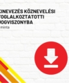 Kinevezés köznevelési foglalkoztatotti jogviszonyba (minta) termékkép a termék nevével feliratozva, a jobb oldalon egy piros letöltés ikonnal