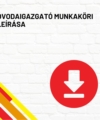 Óvodaigazgató munkaköri leírása termékkép a termék nevével feliratozva, a jobb oldalon egy piros letöltés ikonnal
