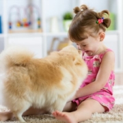 Egy bölcsődei csoportszobában ül egy kislány a földön, egy aranyos bolyhos kiskutyával összeérintik az orrukat.