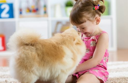 Egy bölcsődei csoportszobában ül egy kislány a földön, egy aranyos bolyhos kiskutyával összeérintik az orrukat.