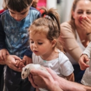 A képen egy kislány egy hörcsögöt néz, amelyet valaki a kezében tart. A háttérben egy óvónő mosolyogva ül, kezét a szája elé tartja. A kislány mellett egy kisfiú is kíváncsiskodik