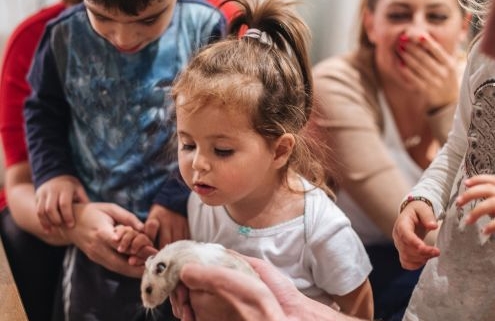 A képen egy kislány egy hörcsögöt néz, amelyet valaki a kezében tart. A háttérben egy óvónő mosolyogva ül, kezét a szája elé tartja. A kislány mellett egy kisfiú is kíváncsiskodik