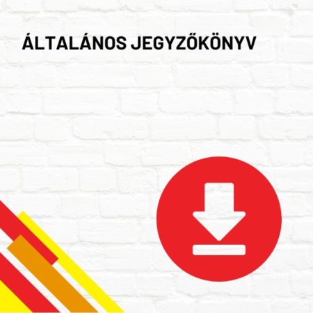 Általános jegyzőkönyv