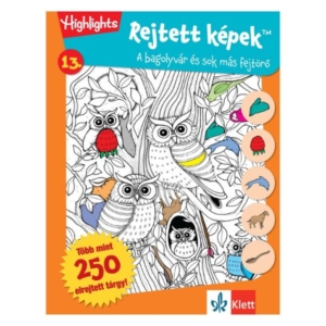 Rejtett képek 13. Bagolyvár és sok más fejtörő