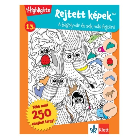 Rejtett képek 13. Bagolyvár és sok más fejtörő