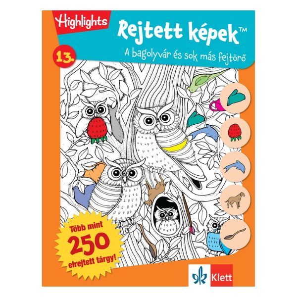 Rejtett képek 13. Bagolyvár és sok más fejtörő