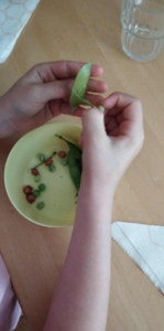 A zöldborsó fejtése